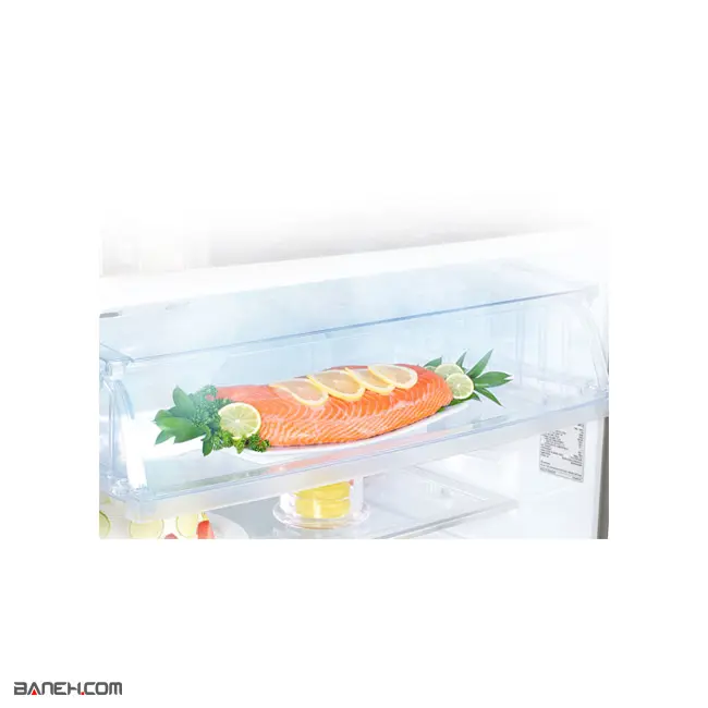 یخچال فریزر بالا و پایین ال جی 30 فوتی LG Refrigerator GF-882