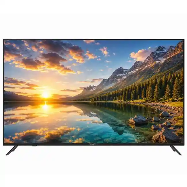 تلویزیون شارپ 65EK2X